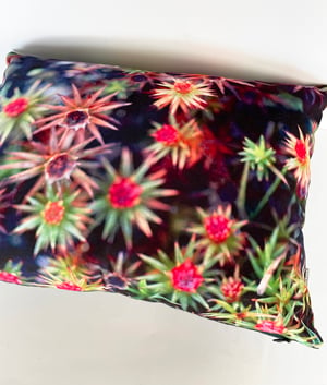 Image of Starry mosses, printed velvet cushion