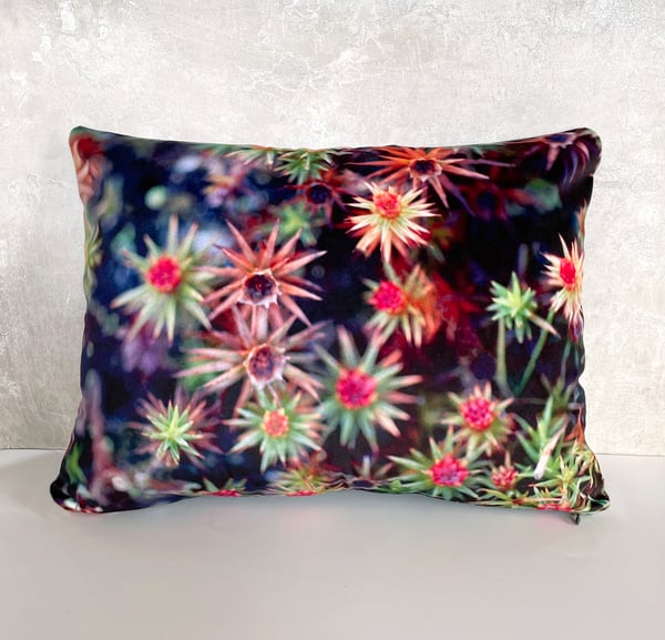 Image of Starry mosses, printed velvet cushion