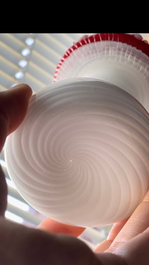 Image of Amanita Muscaria Mini Functional