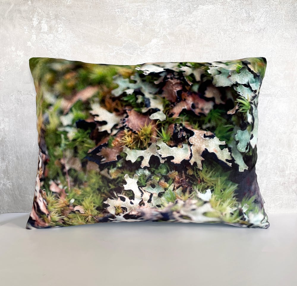 Image of Moss, luxury velvet cushion