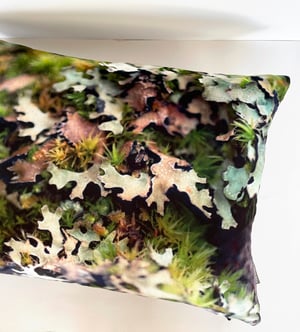 Image of Moss, printed velvet cushion
