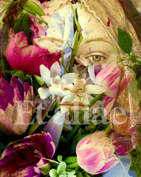 Image 3 of Floral State of Mind 