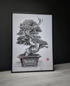 Original drawing - Shimpaku - moyogi style