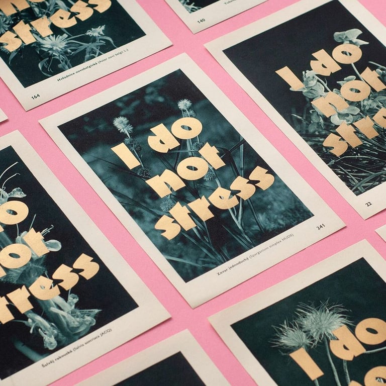 I do not stress I. Image 2