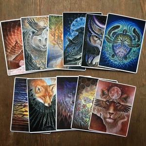 Image of DVASIOS GYVŪNAI 12 atvirukų rinkinys / ANIMAL SPIRITS 12 card set 