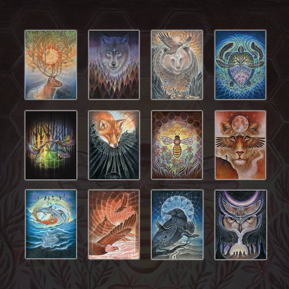 Image of DVASIOS GYVŪNAI 12 atvirukų rinkinys / ANIMAL SPIRITS 12 card set