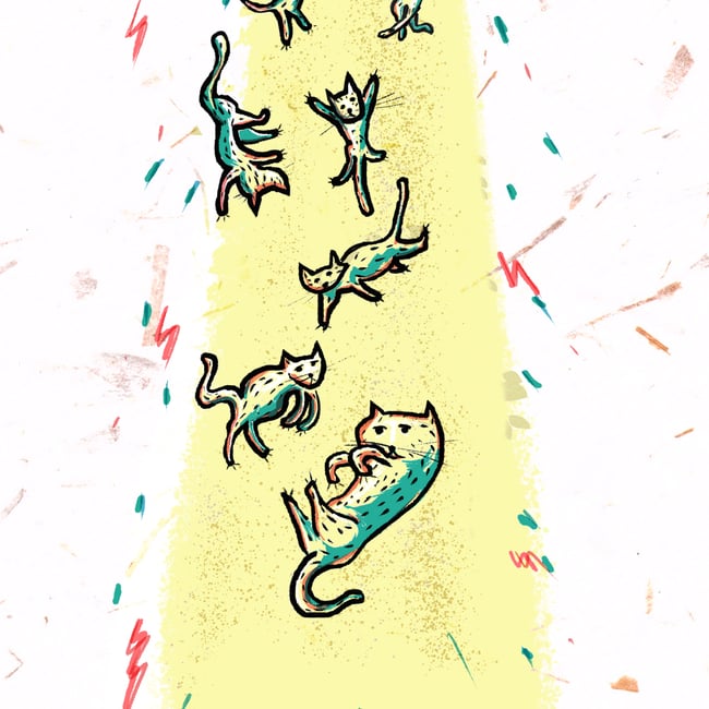 El planeta de los gatos