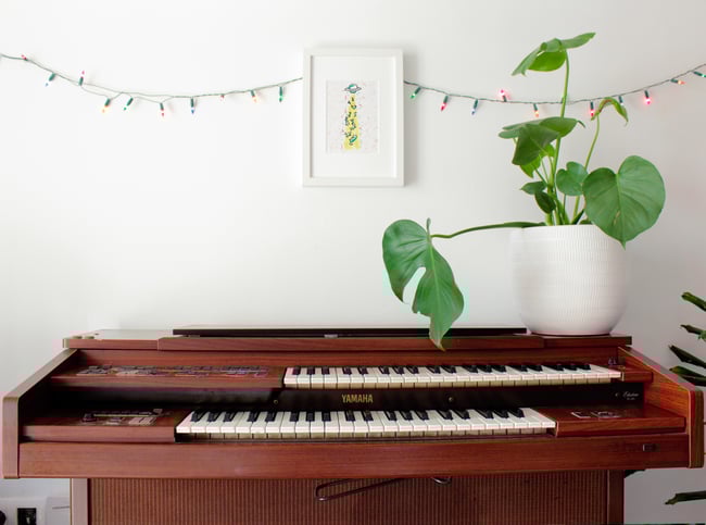 El planeta de los gatos