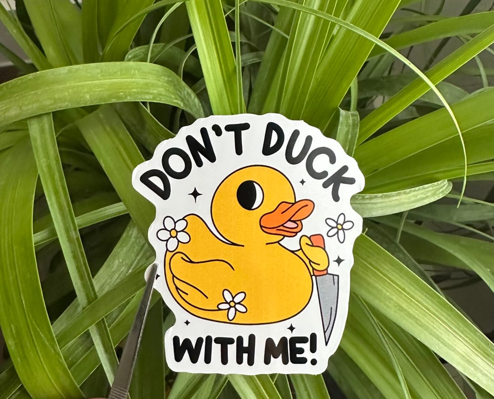 Image of don’t duck with me
