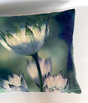 Image of Astrantia, printed velvet cushion