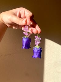 Image 1 of 💜Purple Bellflower💜 