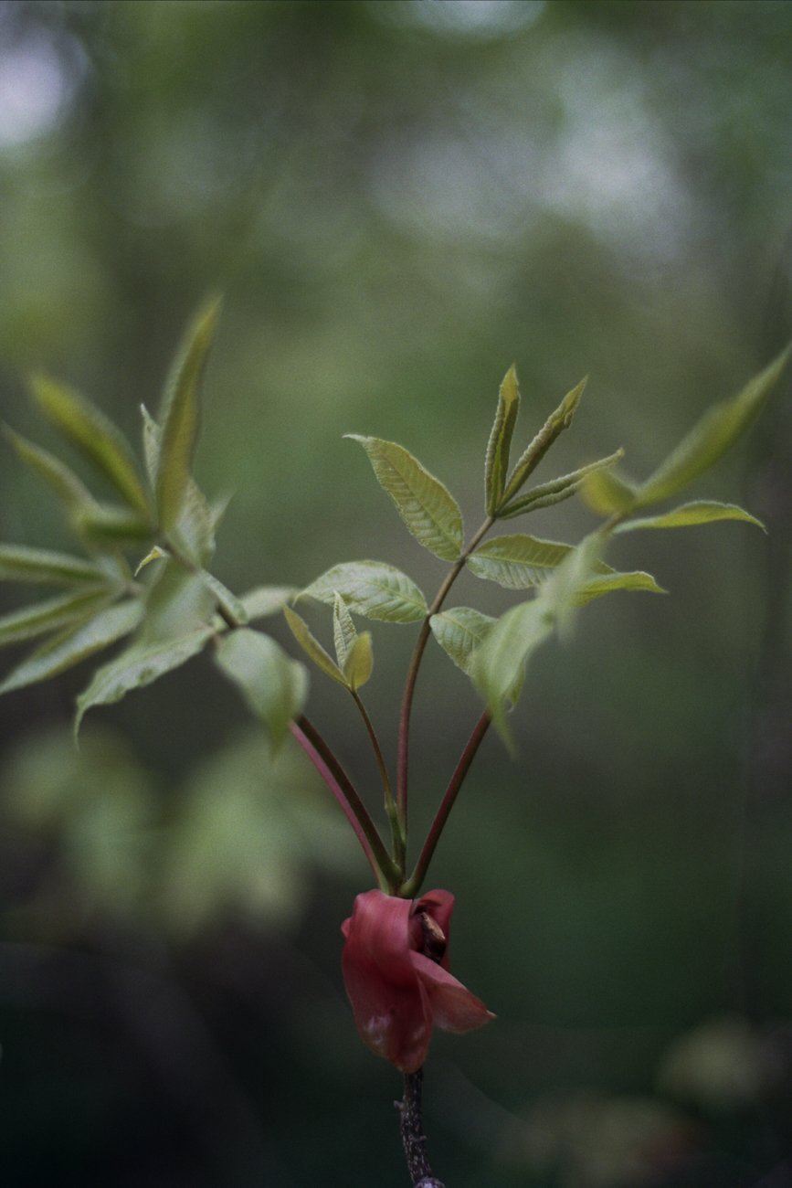 Image of in the stillness