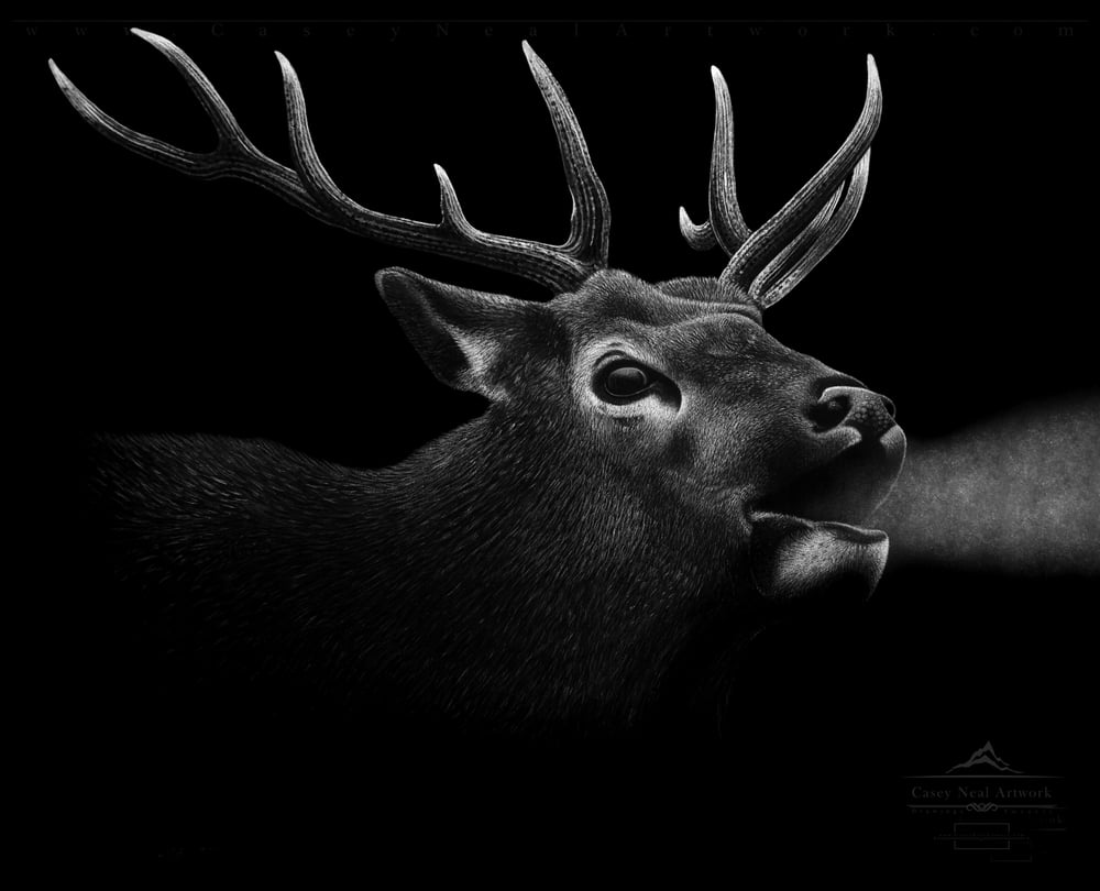 Image of Charcoal Elk