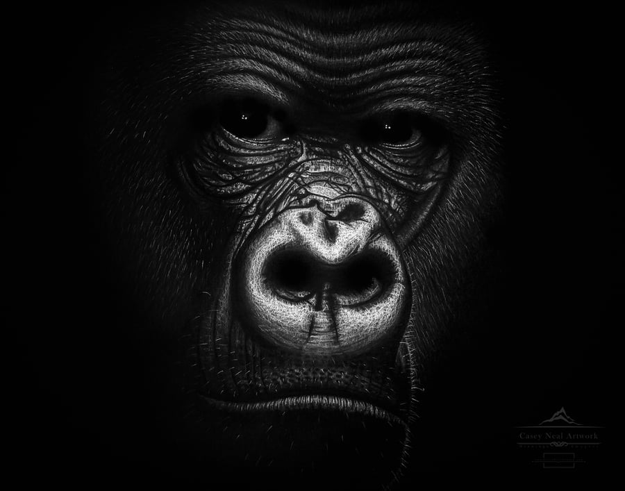 Image of Silverback