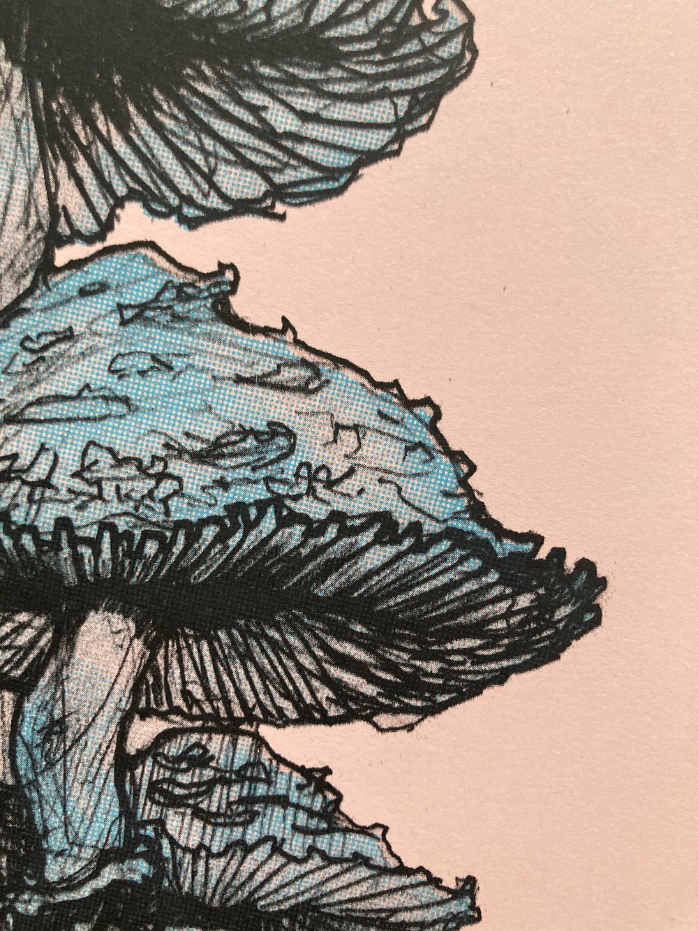 Floating Inkcap Riso Print