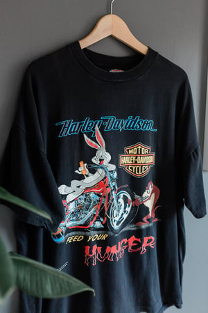 Image of Vintage 93' Harley Davidson x Looney Tunes 