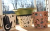 Bees Knees - 7" Terracotta Pot