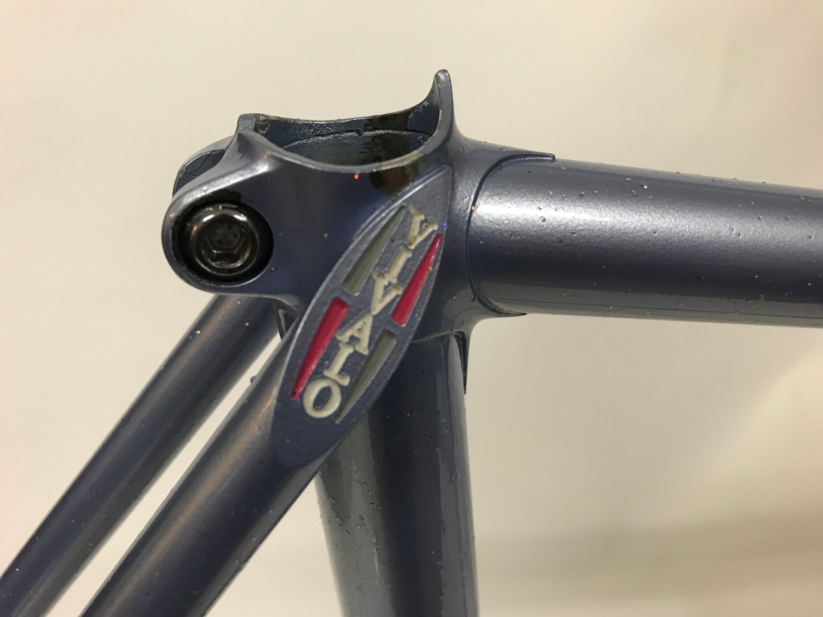 Vivalo frame hot sale