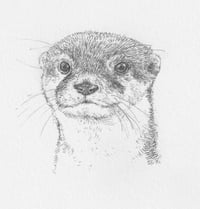 An otter