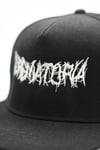 Crematoria Snap Back
