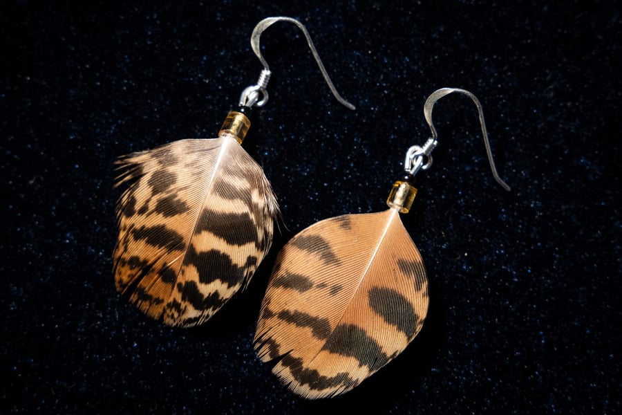 Image of Patterned Peacock Feather Earrings