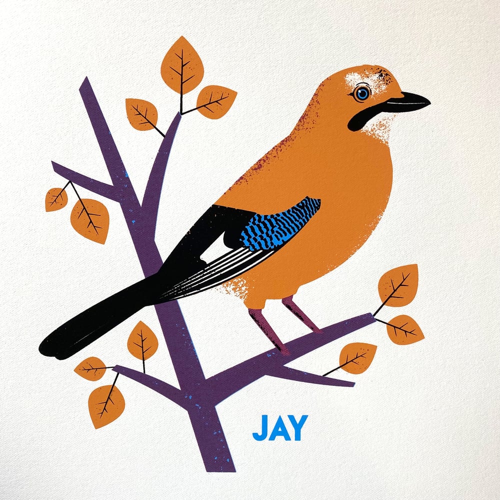 Image of Jay