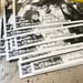 Image of THE PUNK DOGS (Print)