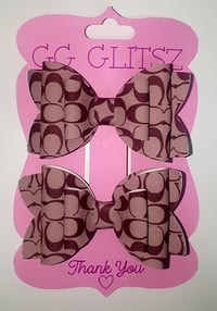 Coach minis