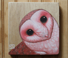 Pink Barn Owl Painting on Wood