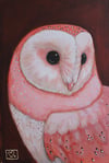Madam Pink Barn Owl Painting on Wood