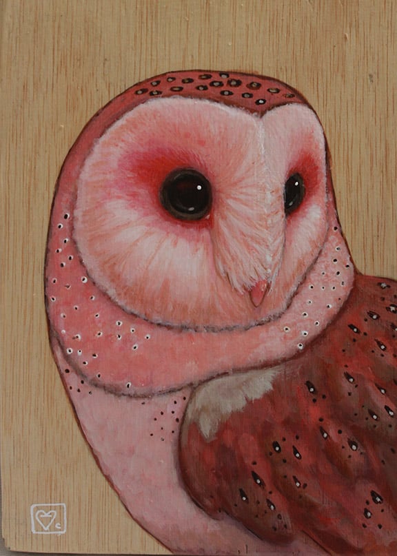 Mr. Pink Barn Owl Painting