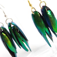Image 2 of Jewel Beetle Wing Statement Earrings
