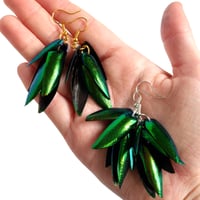 Image 4 of Jewel Beetle Wing Statement Earrings