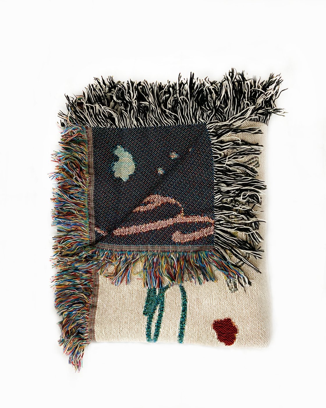 Image of Przewalski's horse