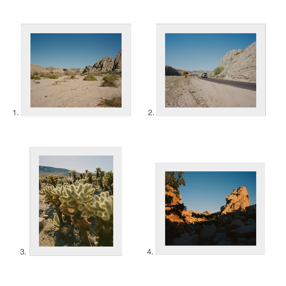 Image of Desert Prints