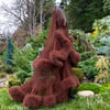 Spiced Cocoa Cassandra Dressing Gown  CLEARANCE $150 OFF!