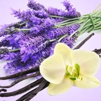 Lavender & Vanilla Body Scrub 8 oz