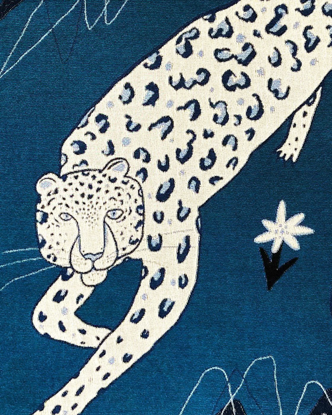 Image of Snow leopard