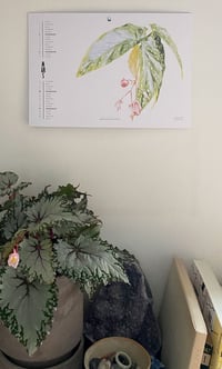 Image 5 of 2022 Calendar