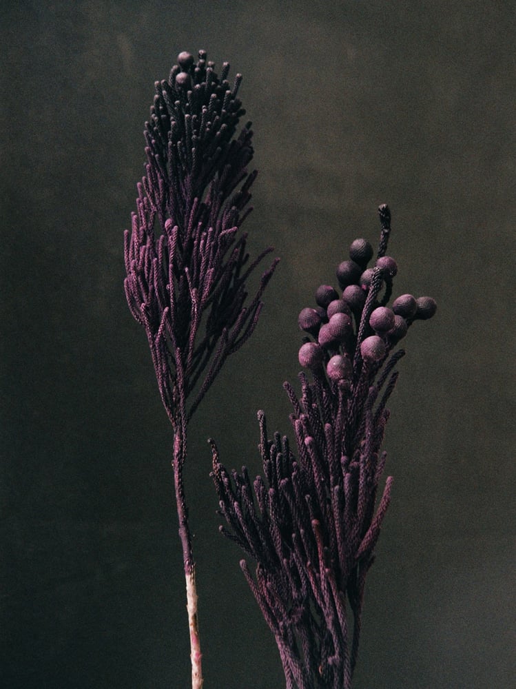 Image of Les liants - Valentin Abad