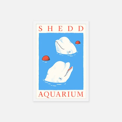 Shedd Aquarium - Sorry.