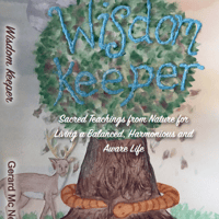 Wisdom Keeper Book shipped to Ireland 