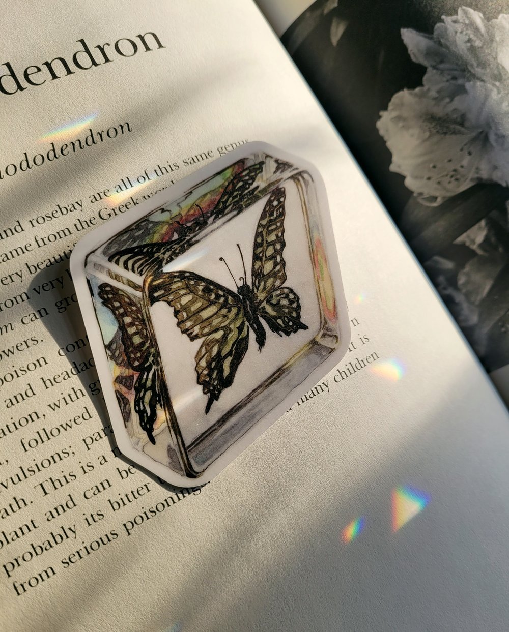 Bugs In Resin Vinyl Stickers