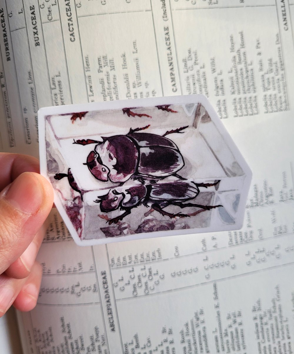 Bugs In Resin Vinyl Stickers