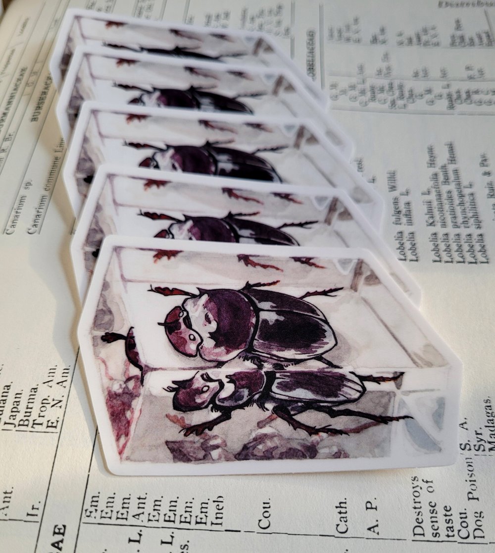 Bugs In Resin Vinyl Stickers