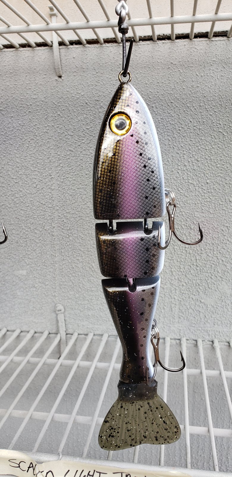 Image of 10 inch Slow Sink. Scaled Silver Trout.
