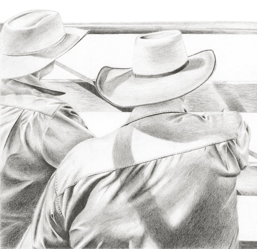 Image of Roma Saleyards