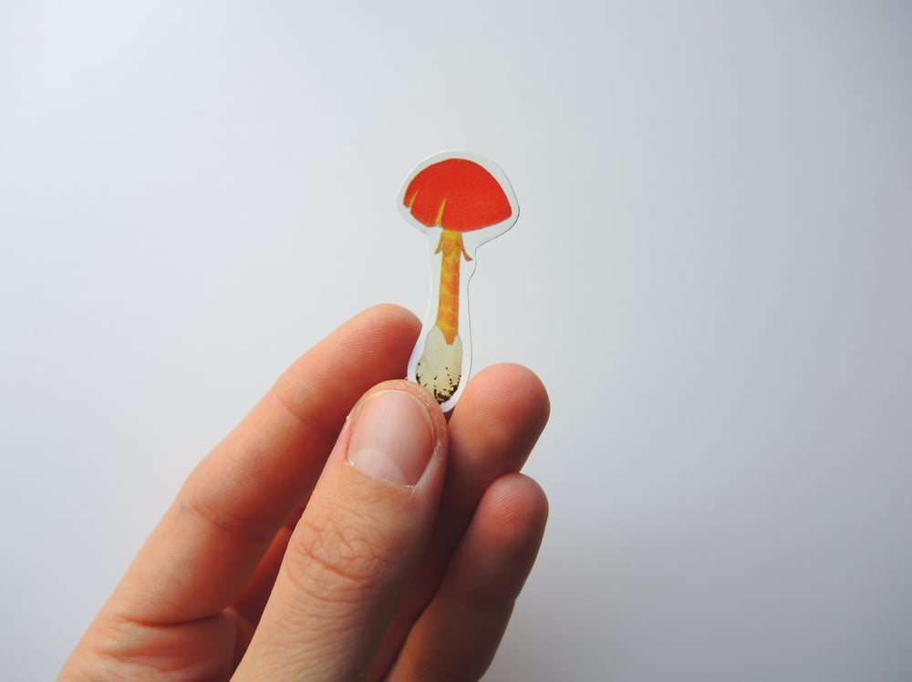One Surprise Vintage Mushroom Sticker