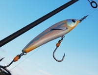 Image 2 of Semi Nude Stickbait 135 S 