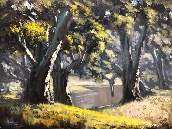 Image of Wambangalang Creek, Dubbo